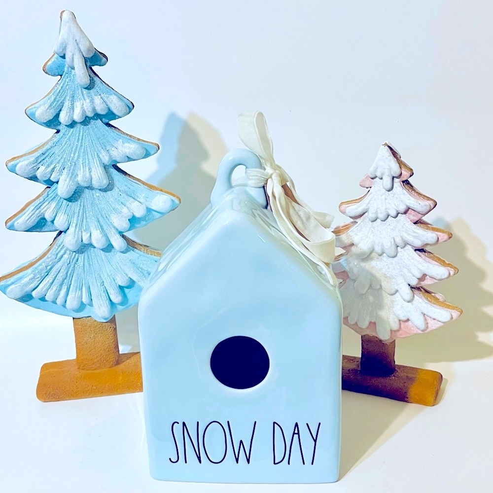 🇺🇸 Rae Dunn Christmas Snow Day ❄️ Birdhouse
